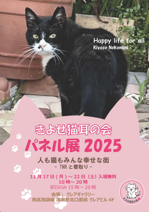 パネル展のチラシ