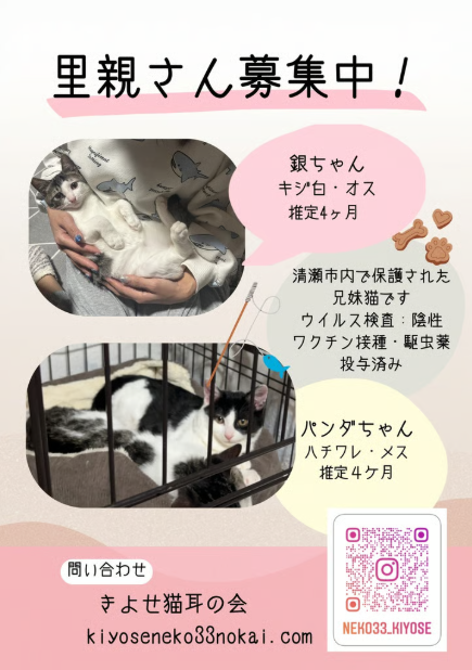 里親募集のお知らせポスター