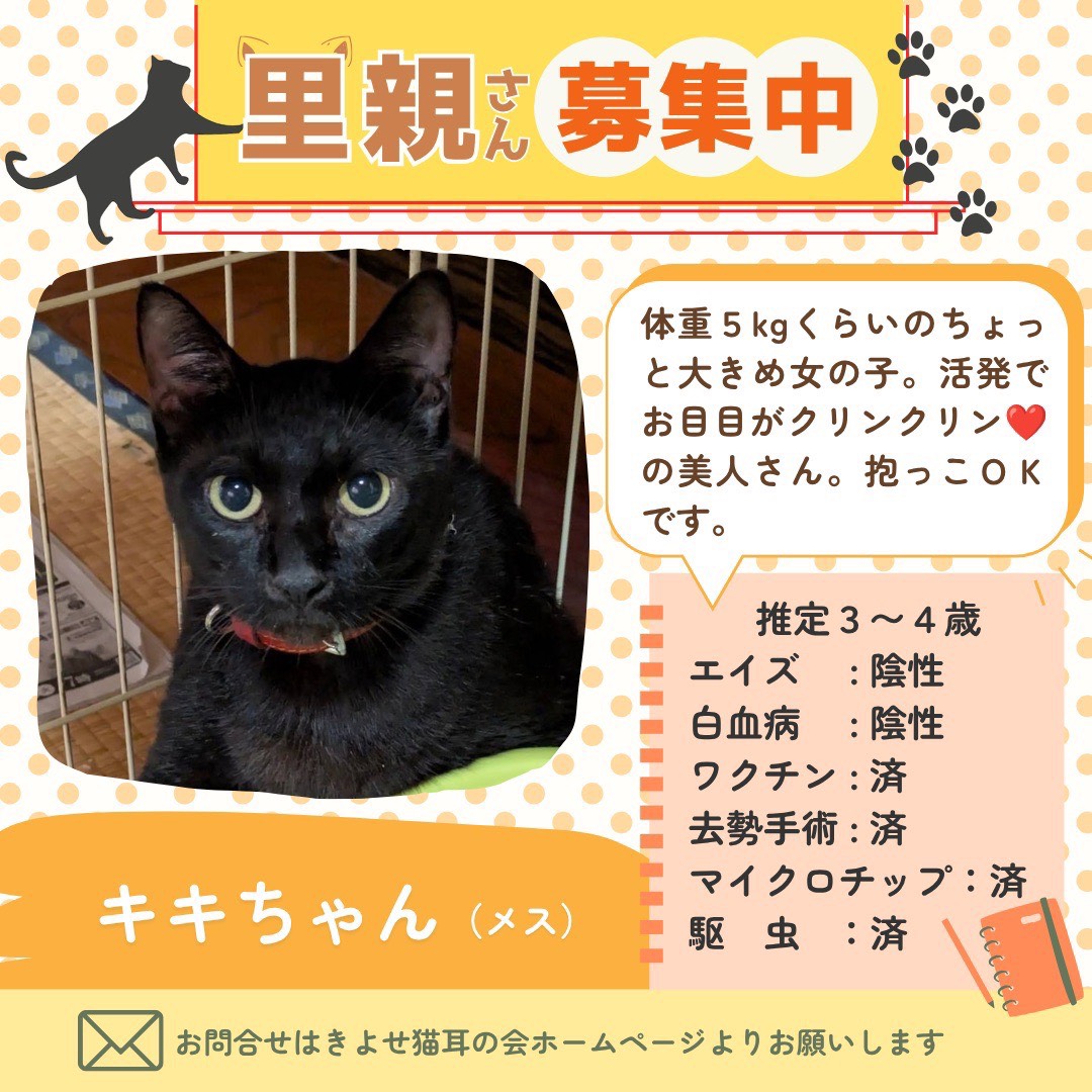 キキちゃんの詳細情報