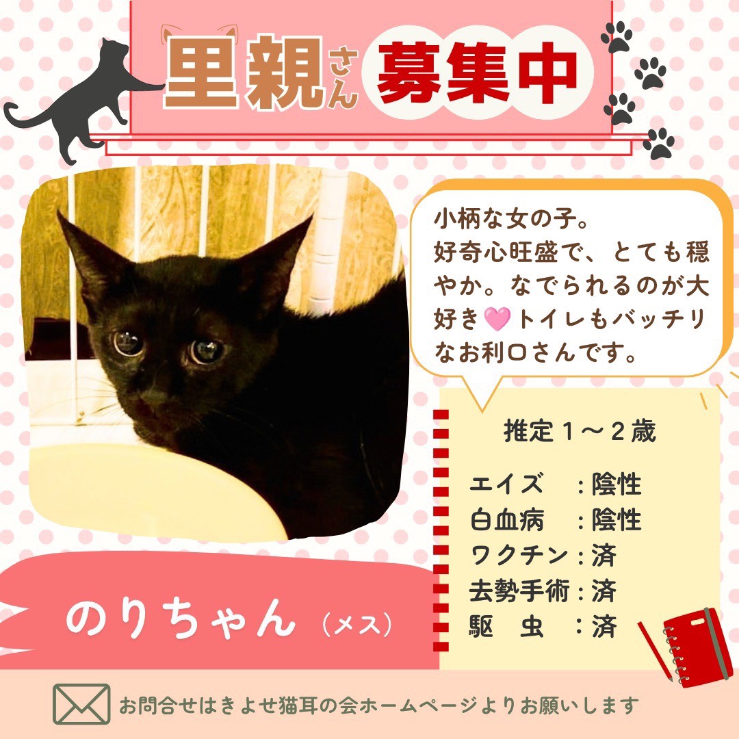 のりちゃんの詳細情報
