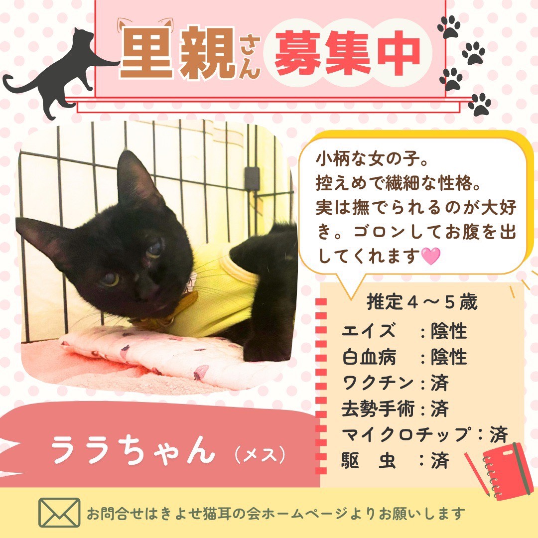 ララちゃんの詳細情報