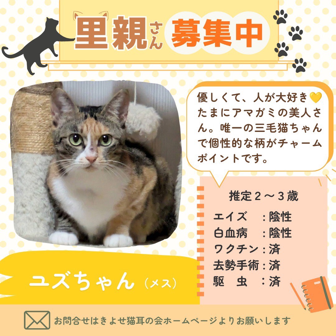 ユズちゃんの詳細情報